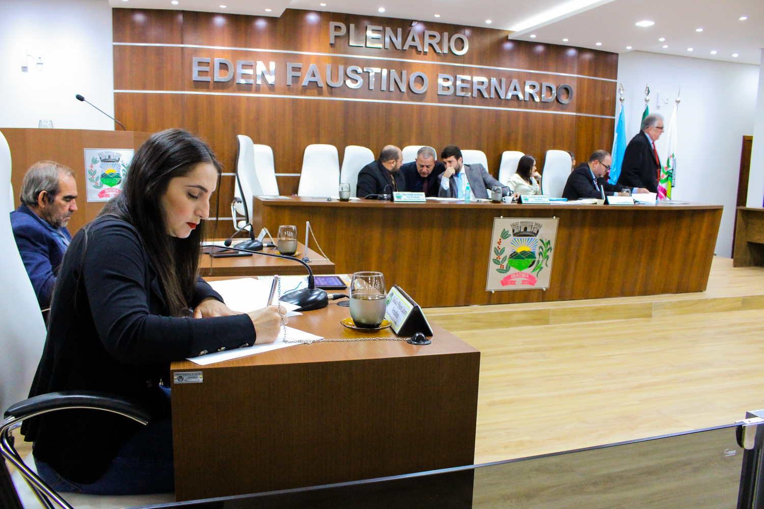 Foto: Reprodução/Câmara de Ibatiba - ES