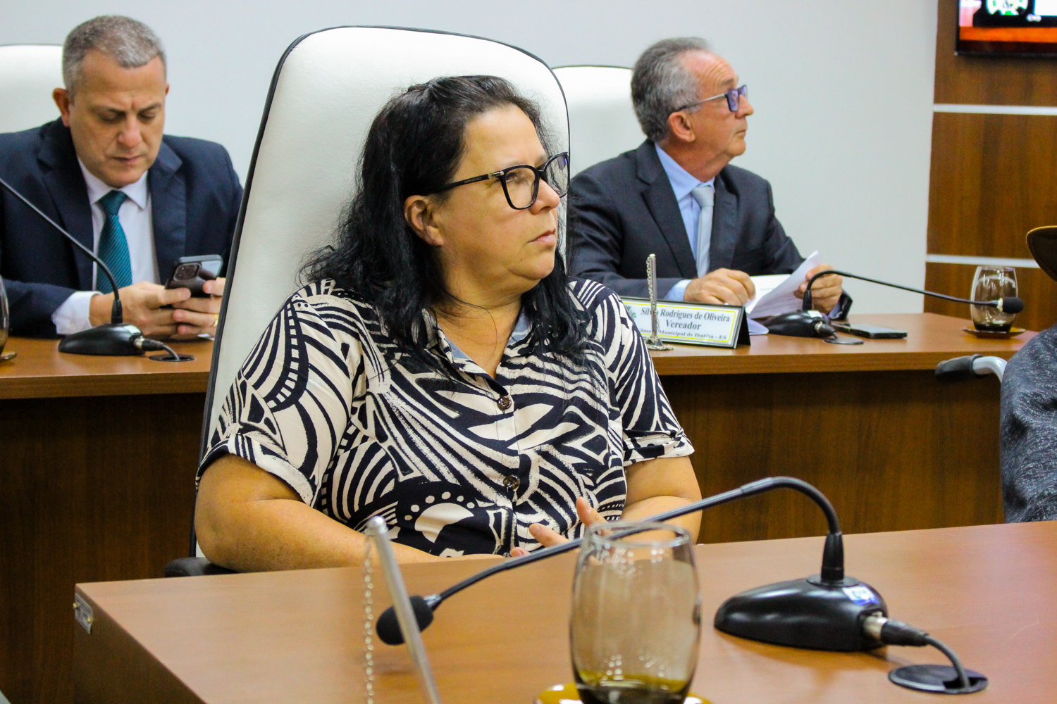 Foto: Reprodução/Câmara de Ibatiba - ES