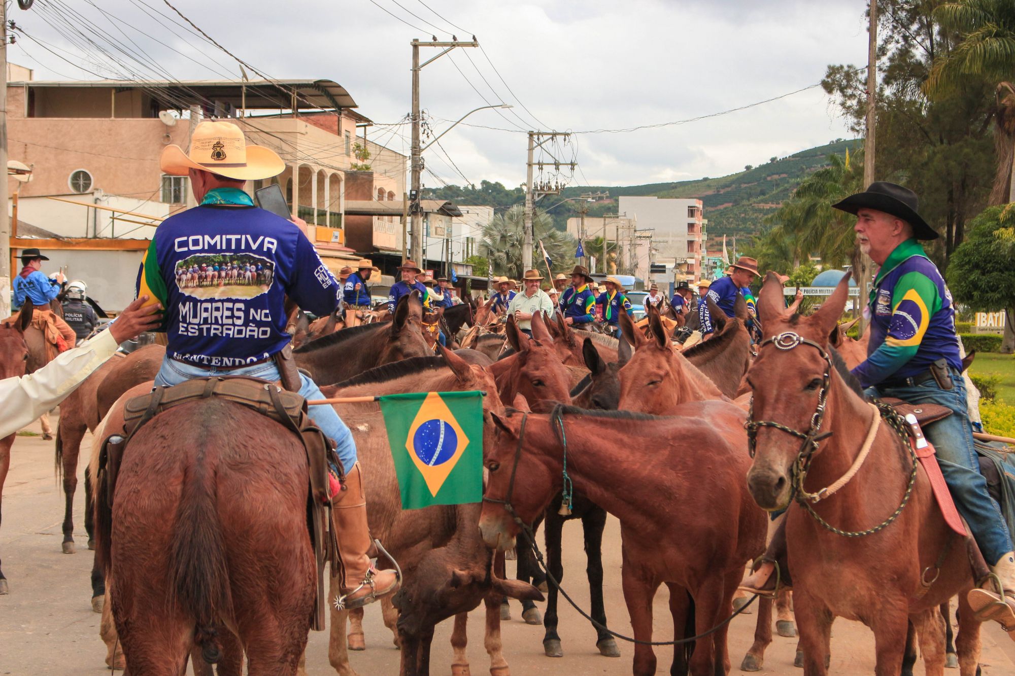 Foto: Reprodução/Câmara de Ibatiba - ES