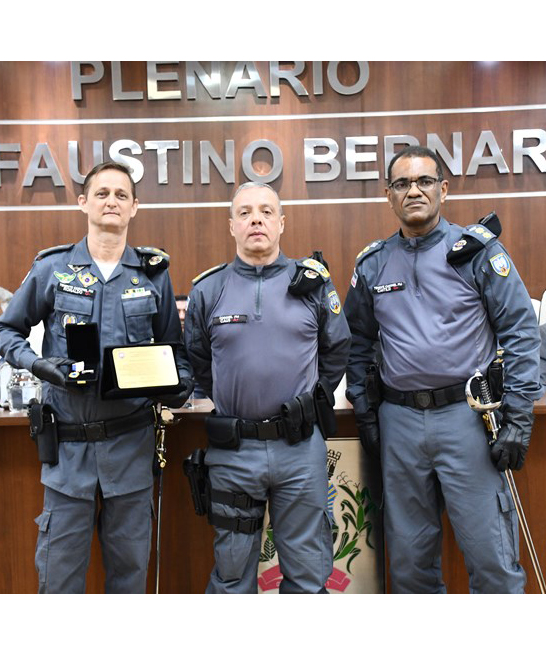 Foto: Reprodução/Câmara de Ibatiba - ES