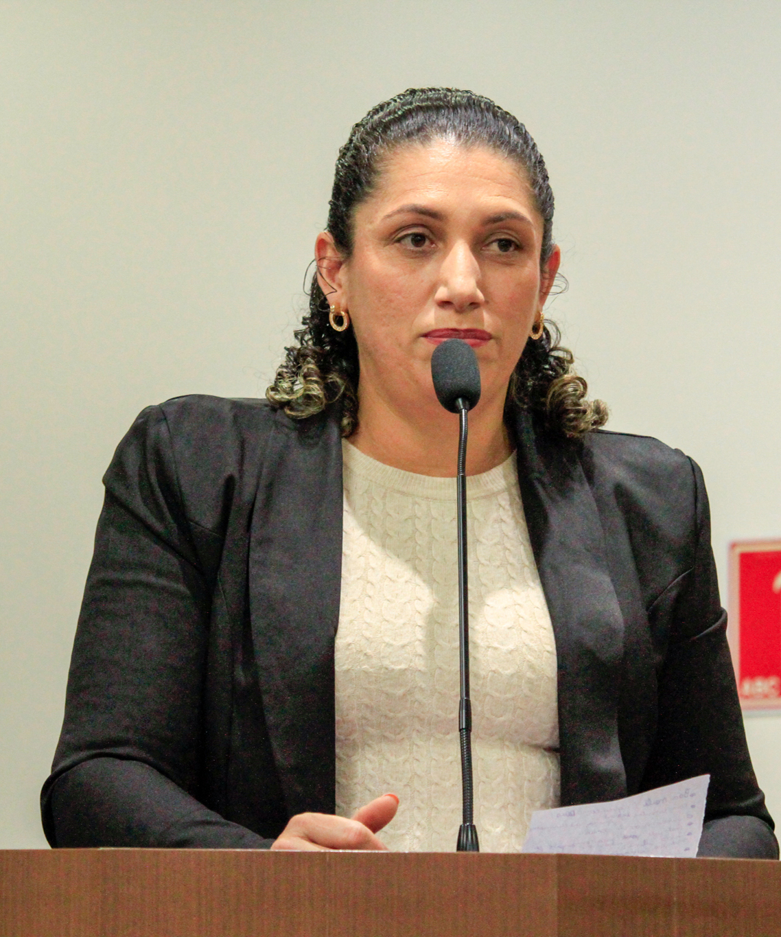 Foto: Reprodução/Câmara de Ibatiba - ES
