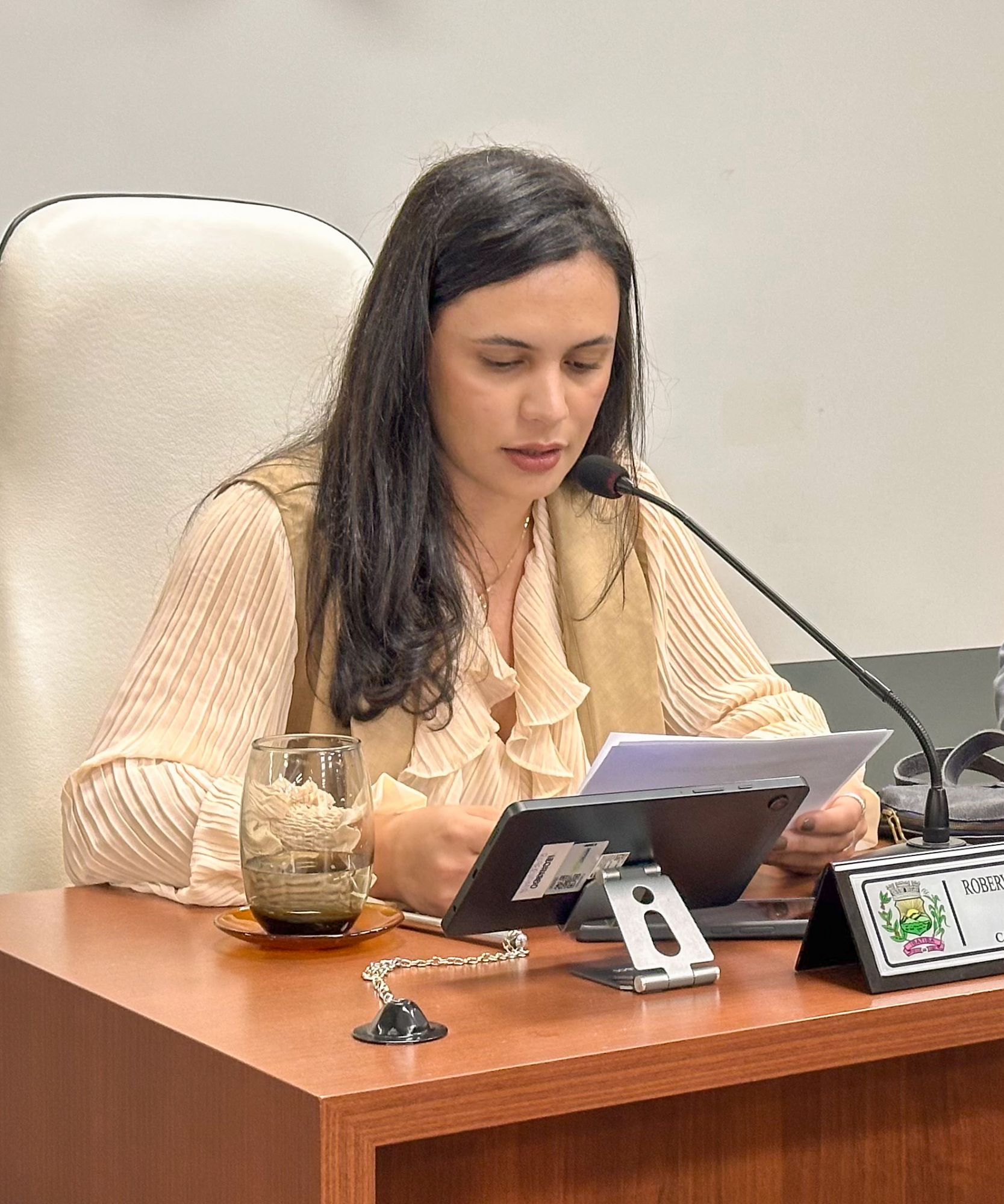 Foto: Reprodução/Câmara de Ibatiba - ES