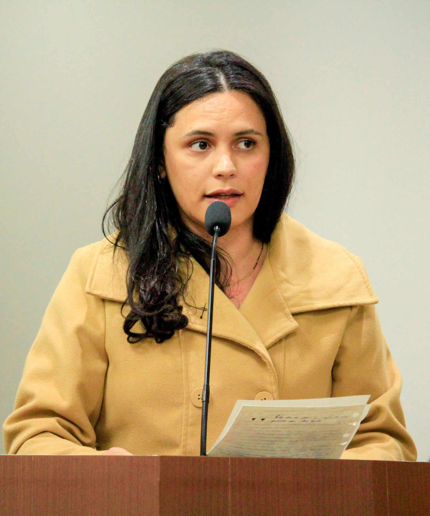 Foto: Reprodução/Câmara de Ibatiba - ES