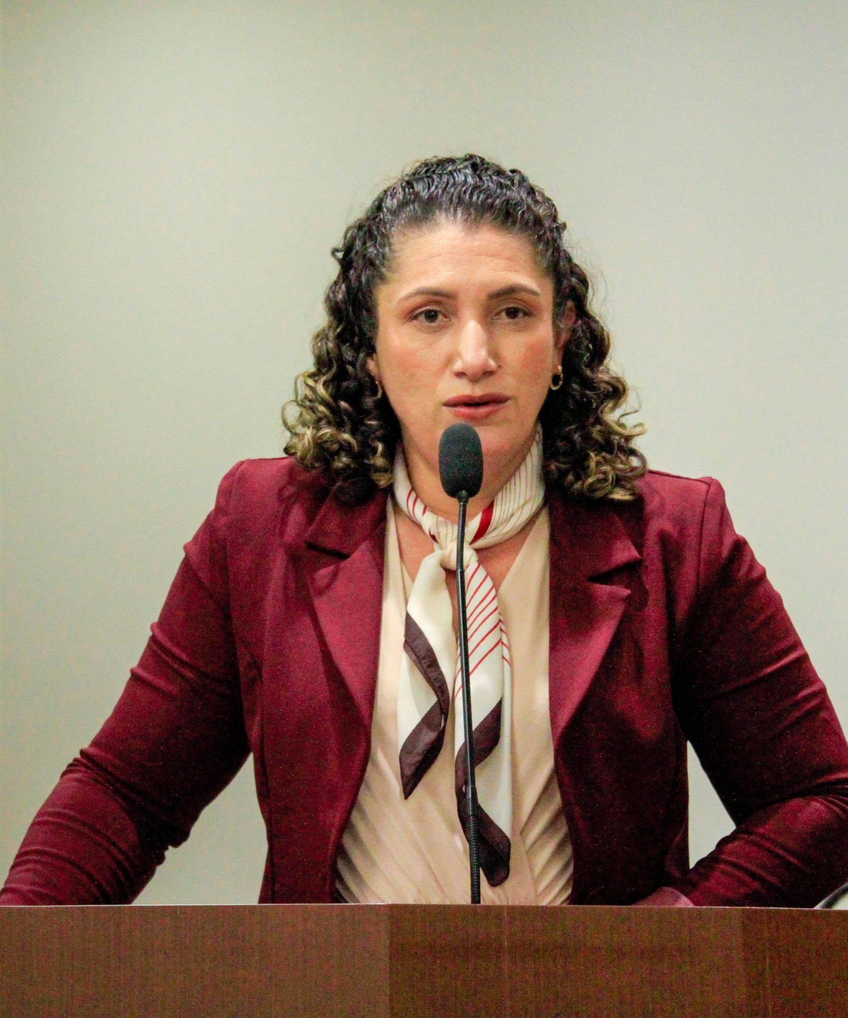 Foto: Reprodução/Câmara de Ibatiba - ES