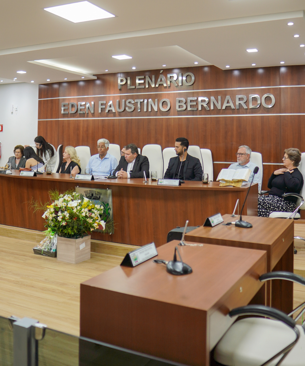 Foto: Reprodução/Câmara de Ibatiba - ES
