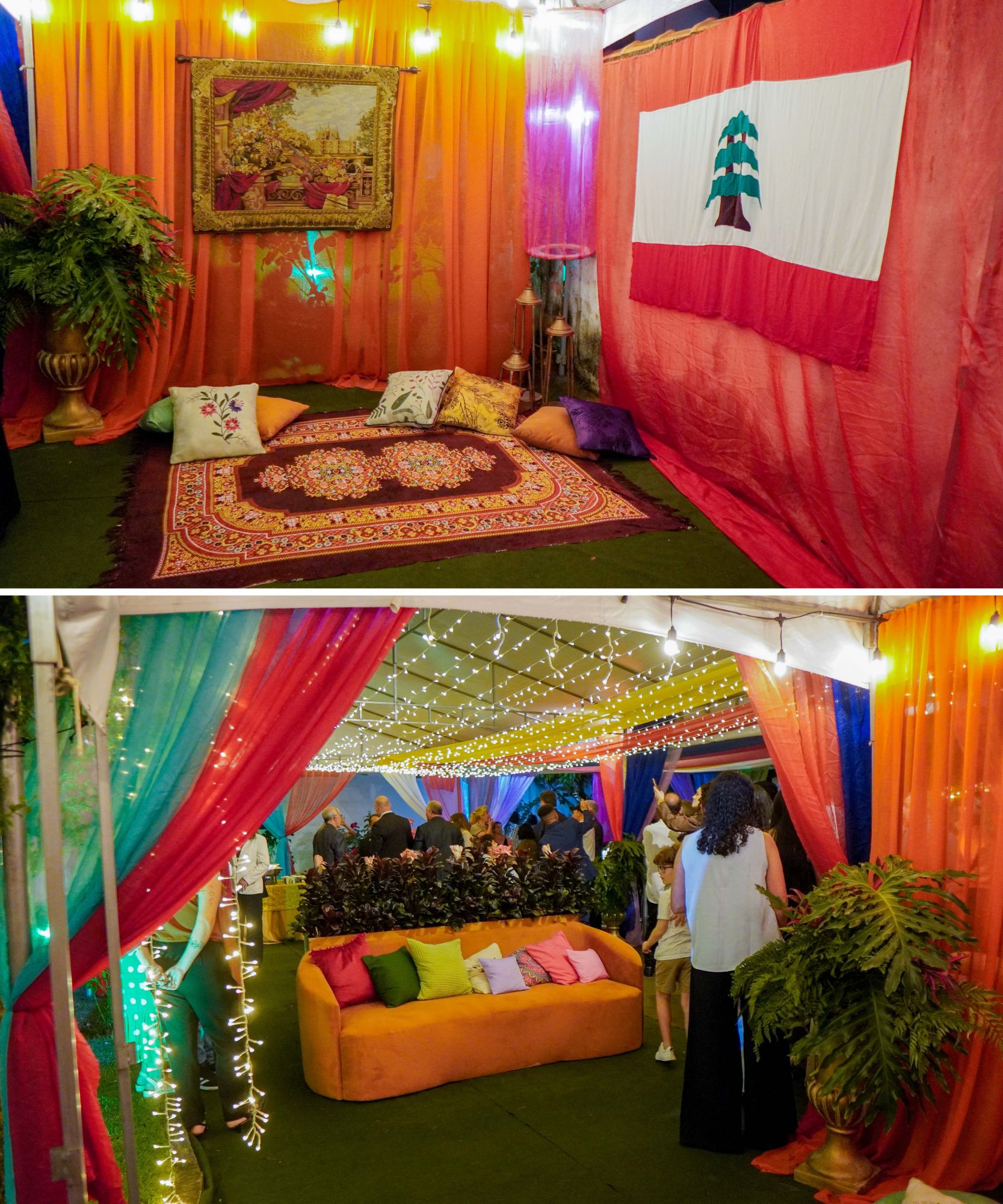 Foto: Reprodução/Câmara de Ibatiba - ES