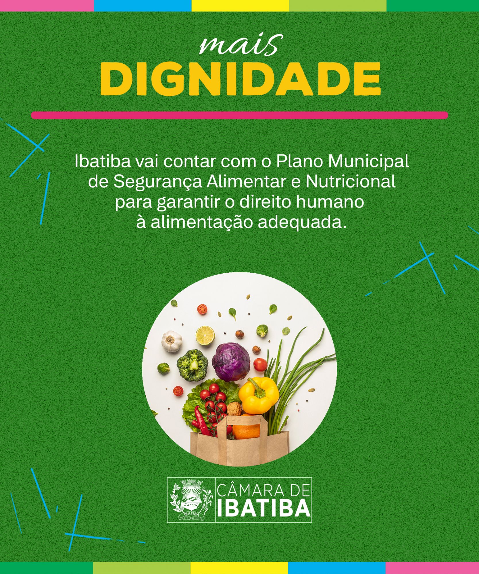 Foto: Reprodução/Câmara de Ibatiba - ES