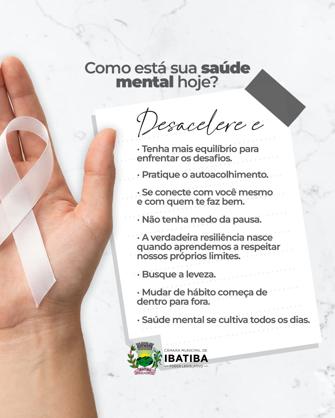 Foto: Reprodução/Câmara de Ibatiba - ES