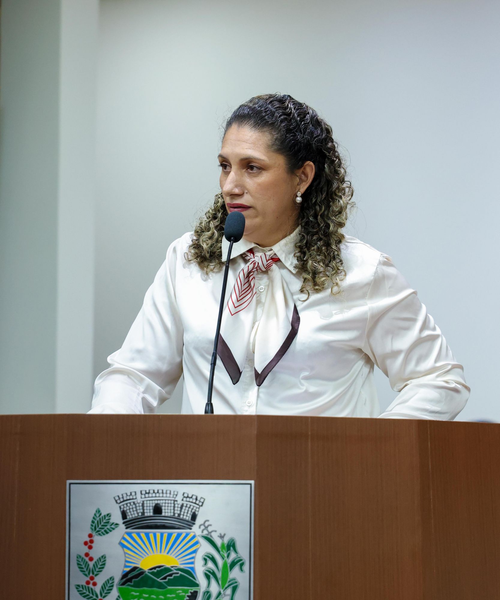 Foto: Reprodução/Câmara de Ibatiba - ES