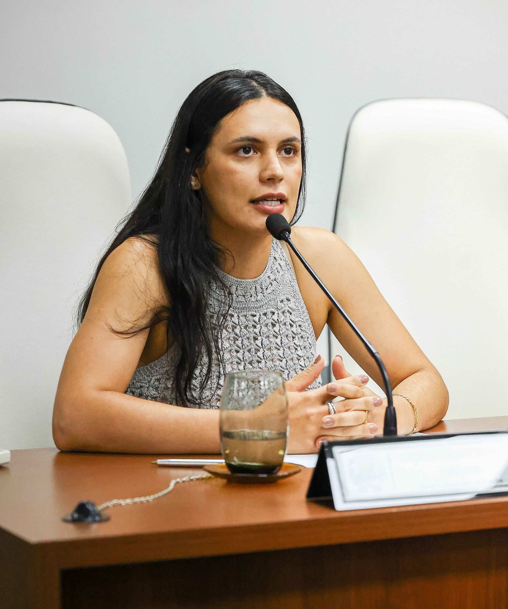 Foto: Reprodução/Câmara de Ibatiba - ES