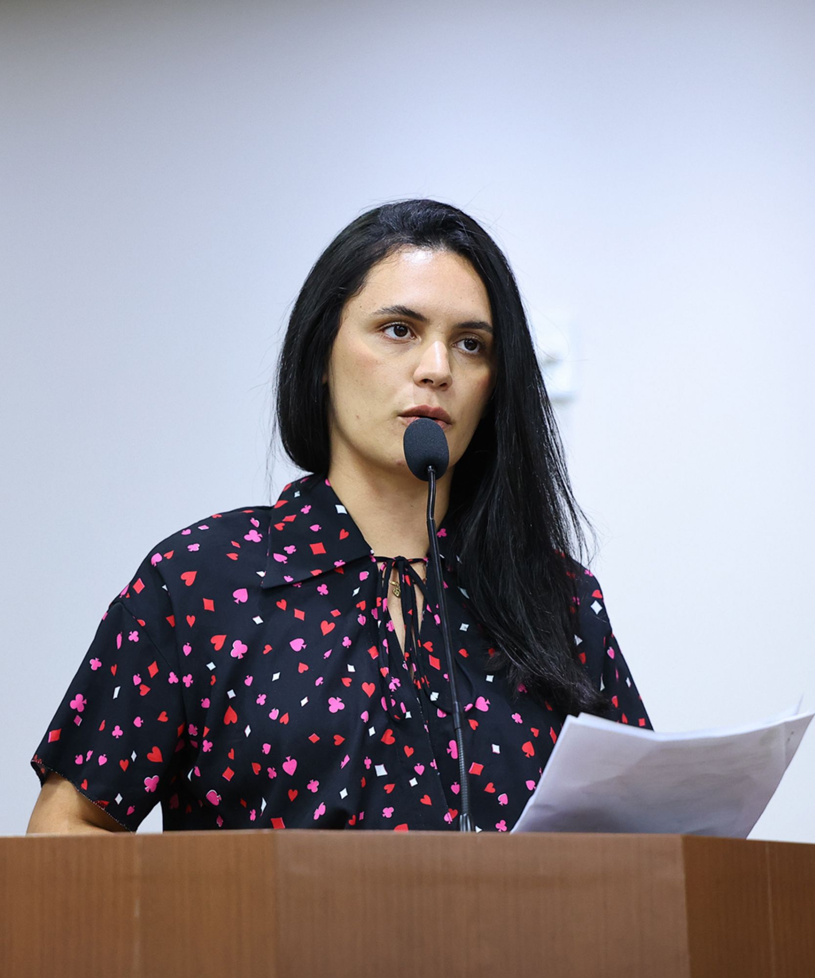 Foto: Reprodução/Câmara de Ibatiba - ES