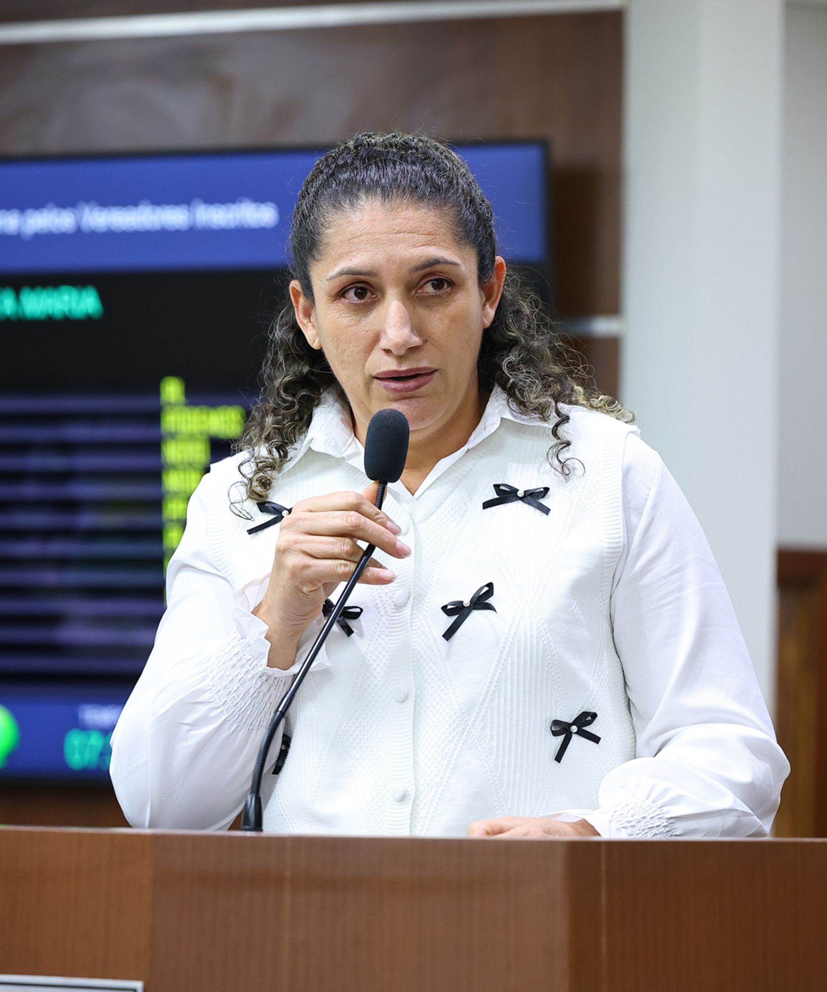 Foto: Reprodução/Câmara de Ibatiba - ES