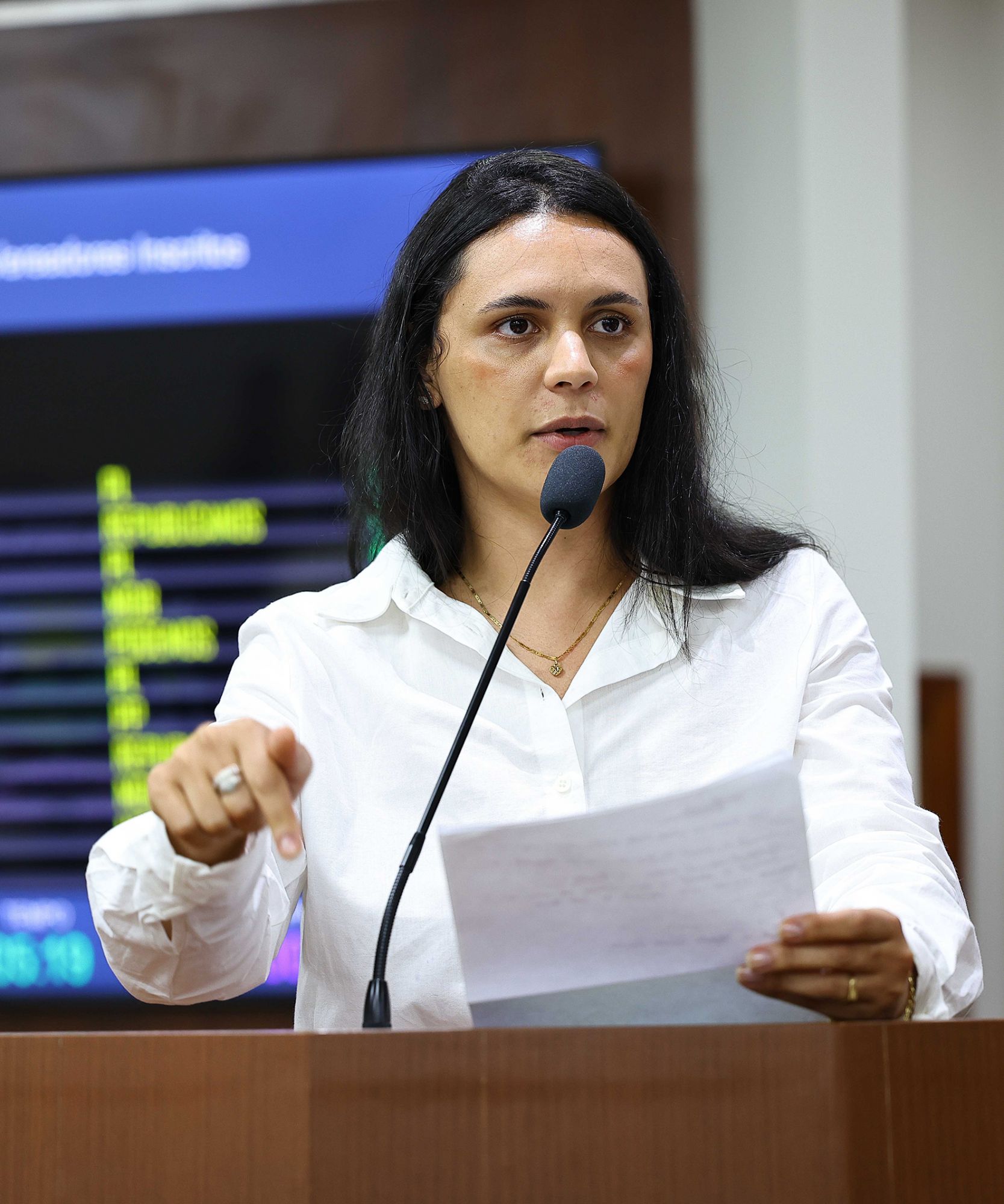 Foto: Reprodução/Câmara de Ibatiba - ES