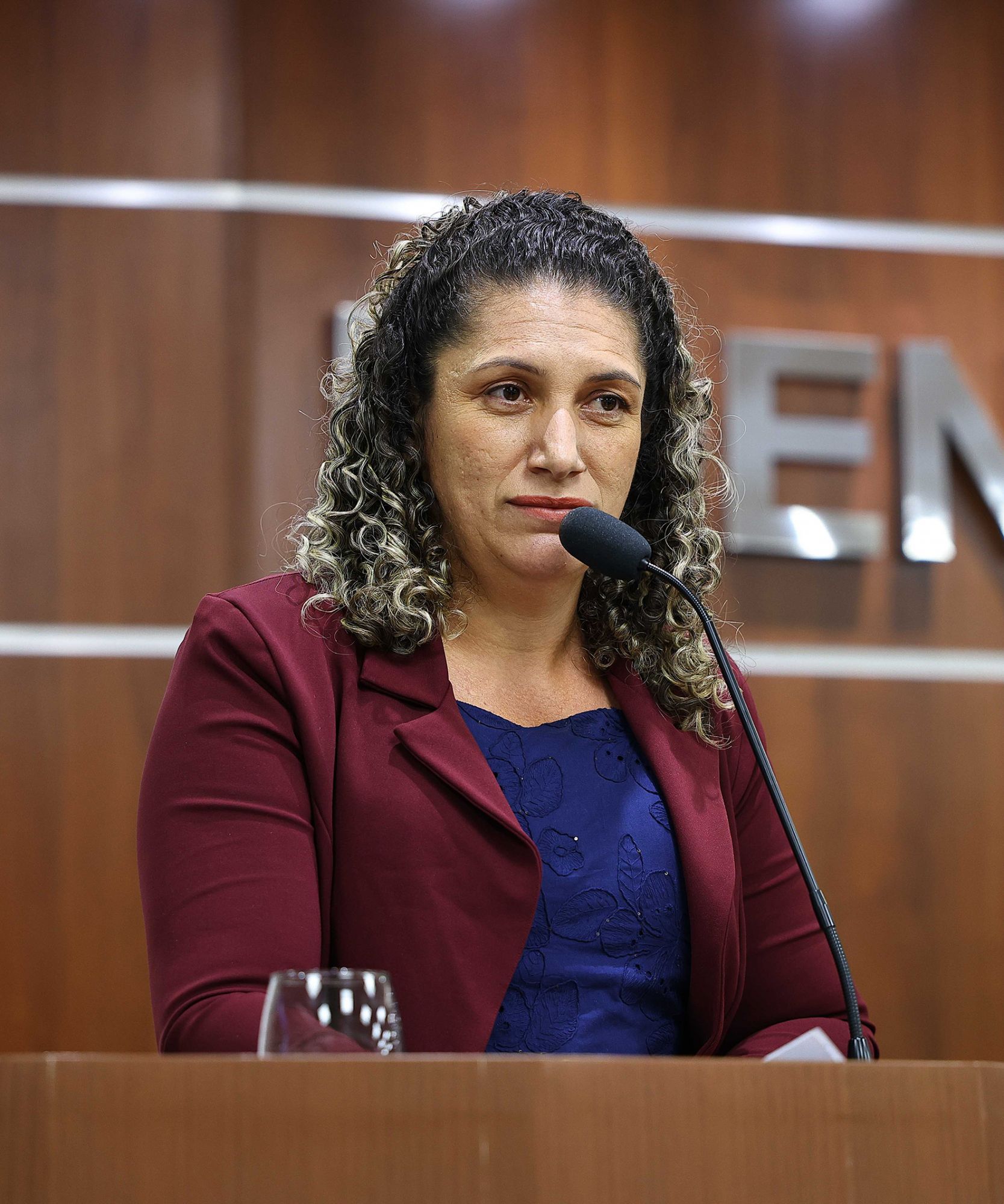 Foto: Reprodução/Câmara de Ibatiba - ES