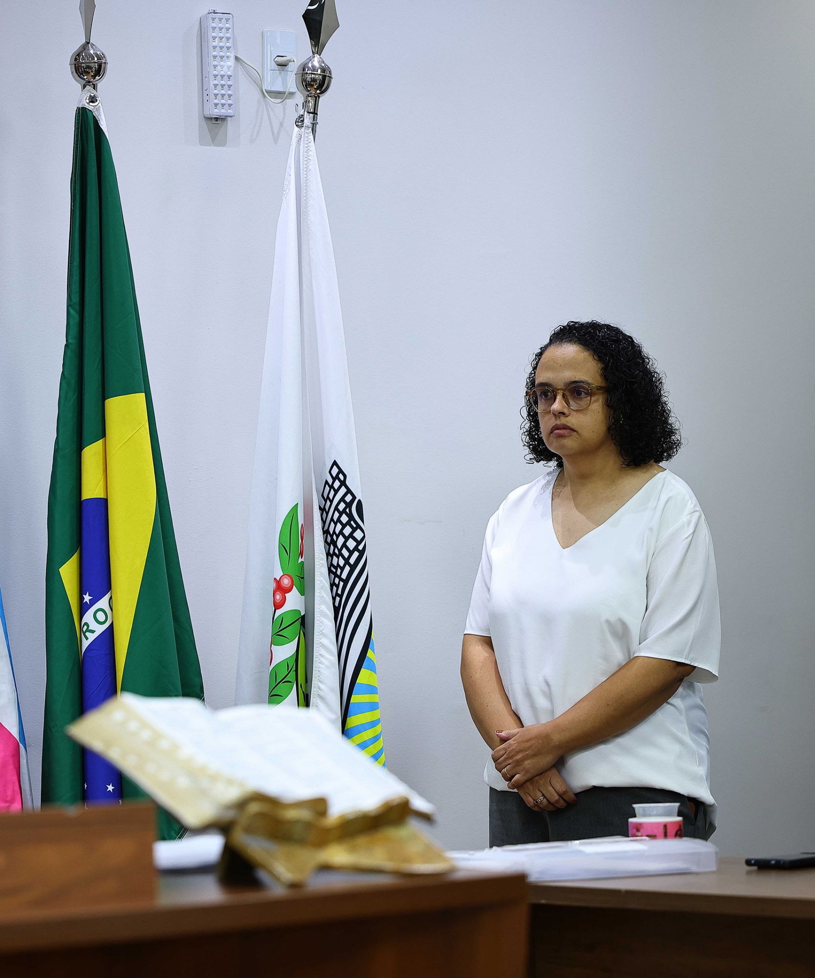 Foto: Reprodução/Câmara de Ibatiba - ES