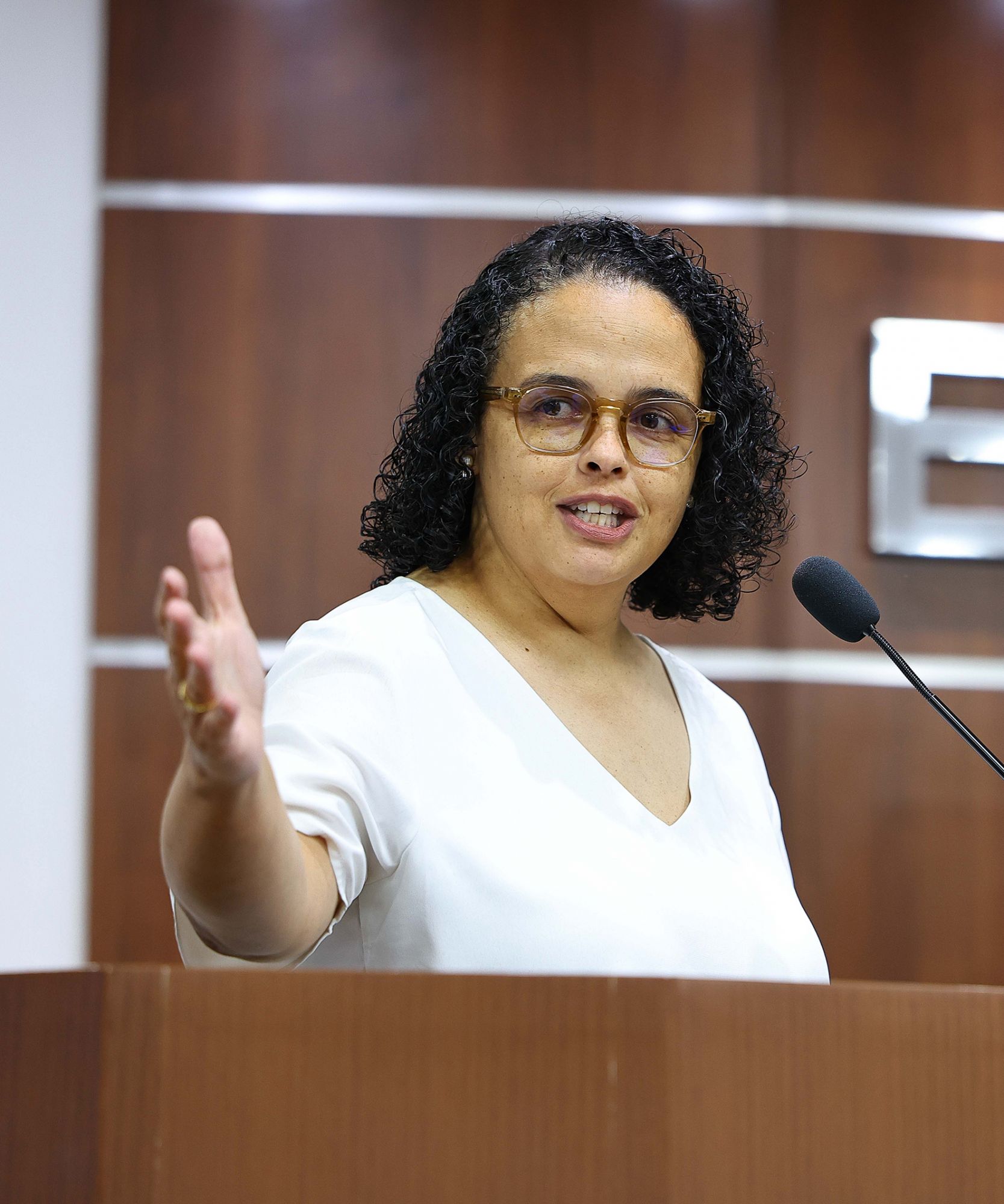 Foto: Reprodução/Câmara de Ibatiba - ES