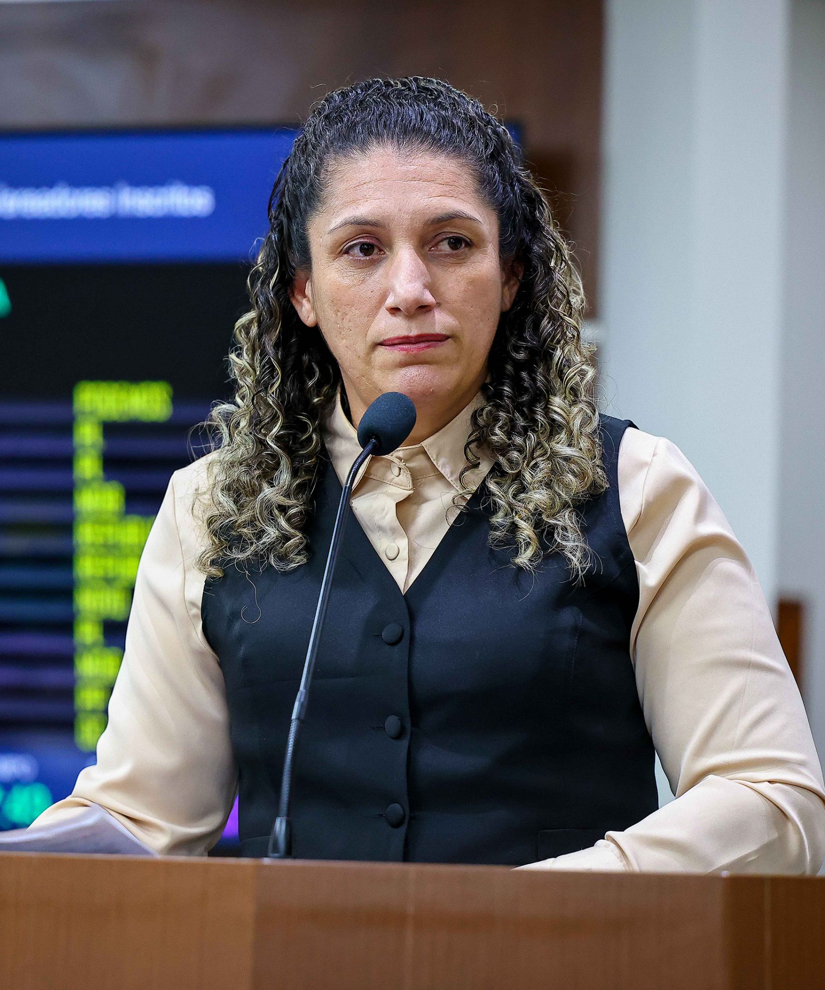 Foto: Reprodução/Câmara de Ibatiba - ES