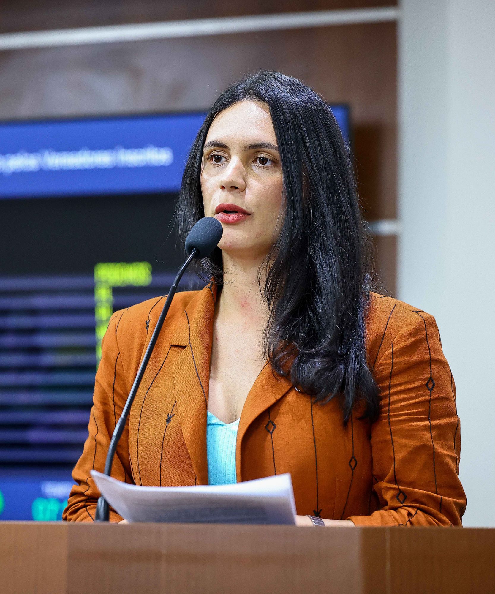 Foto: Reprodução/Câmara de Ibatiba - ES