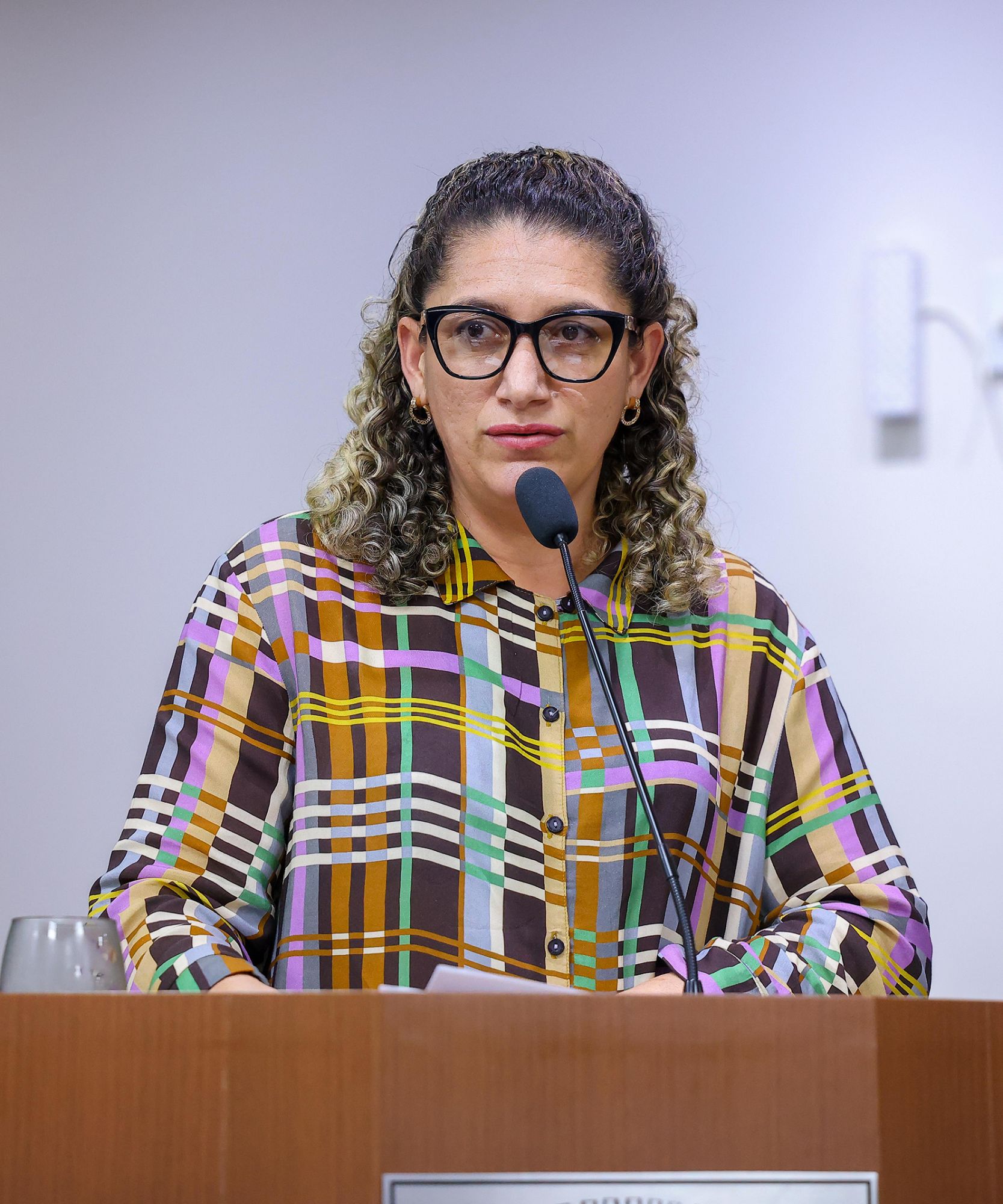 Foto: Reprodução/Câmara de Ibatiba - ES