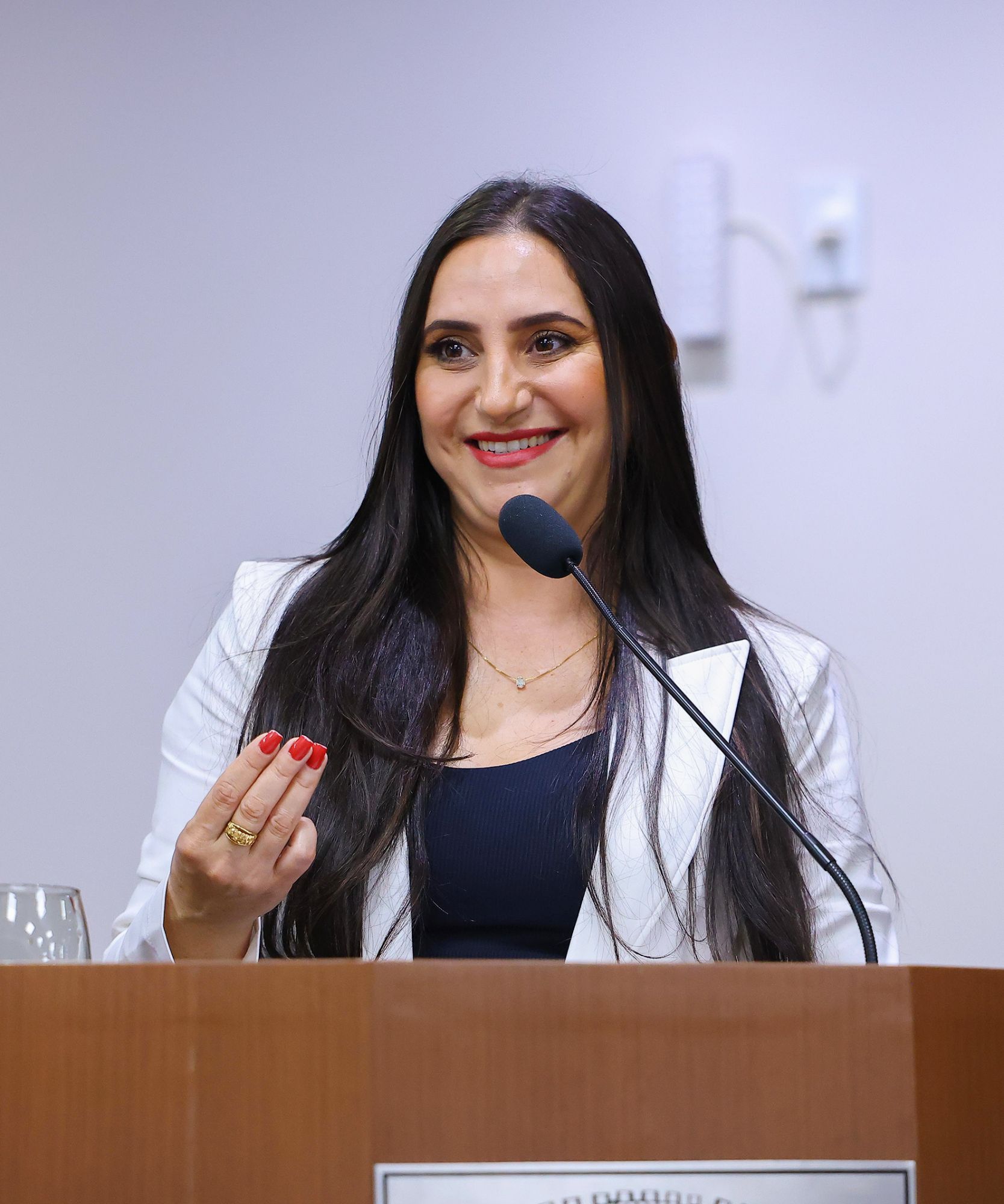Foto: Reprodução/Câmara de Ibatiba - ES