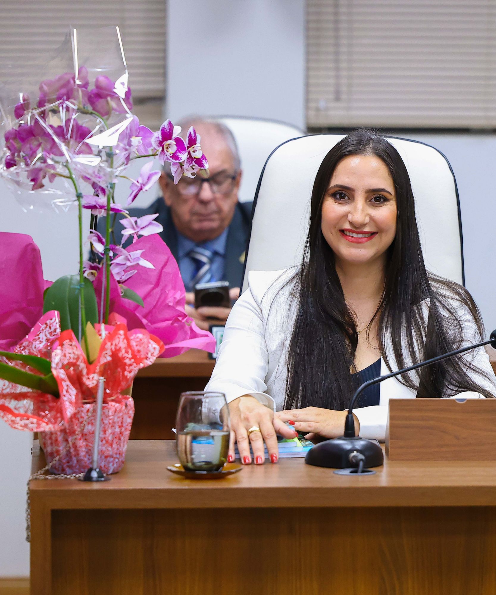 Foto: Reprodução/Câmara de Ibatiba - ES