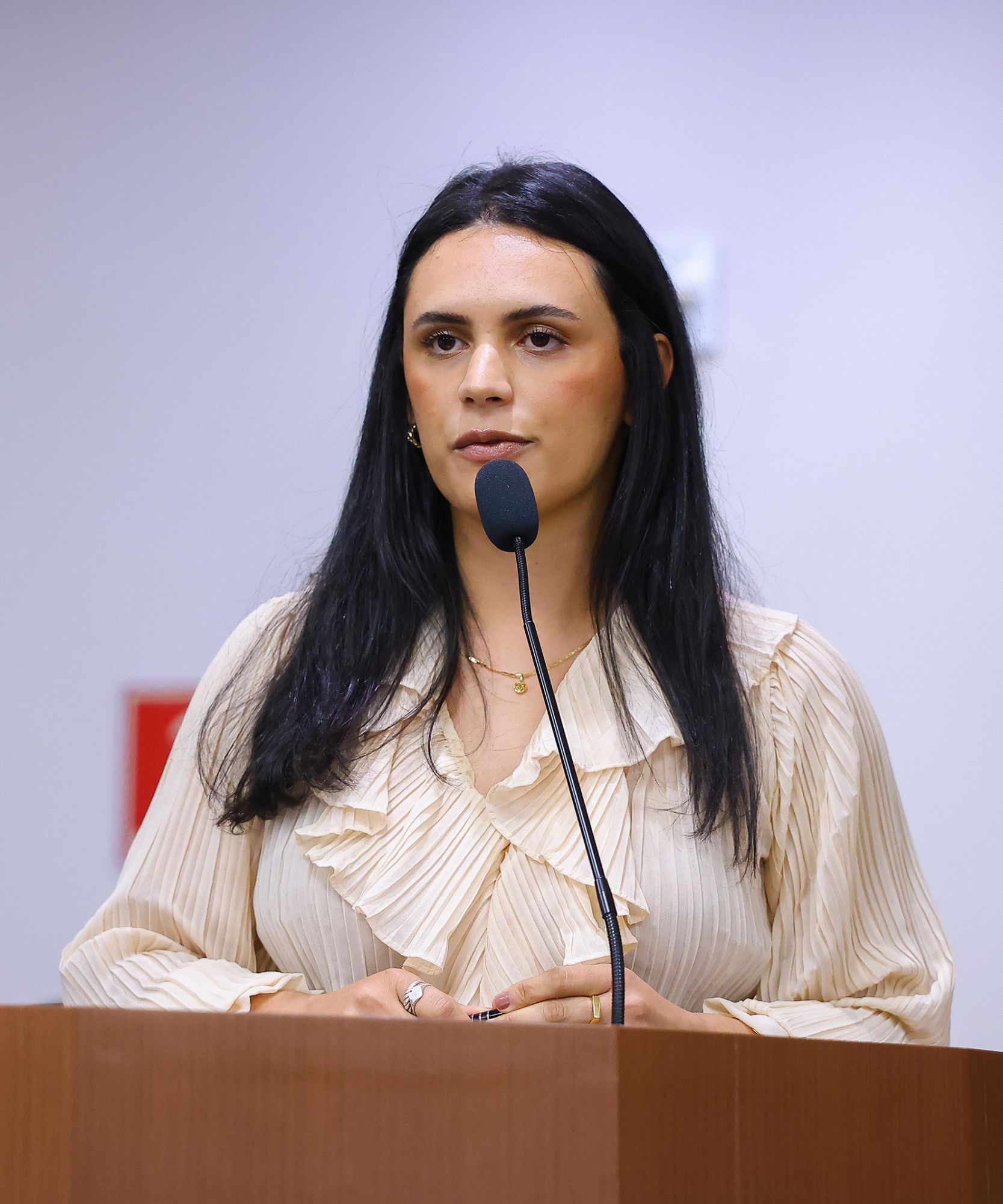 Foto: Reprodução/Câmara de Ibatiba - ES