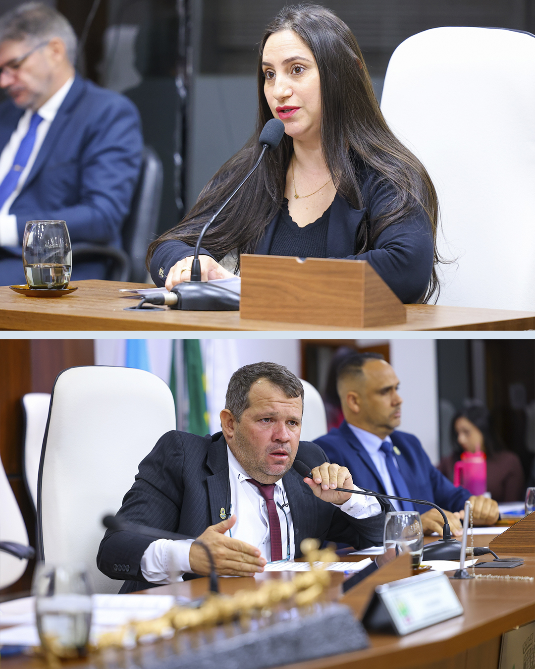 Foto: Reprodução/Câmara de Ibatiba - ES