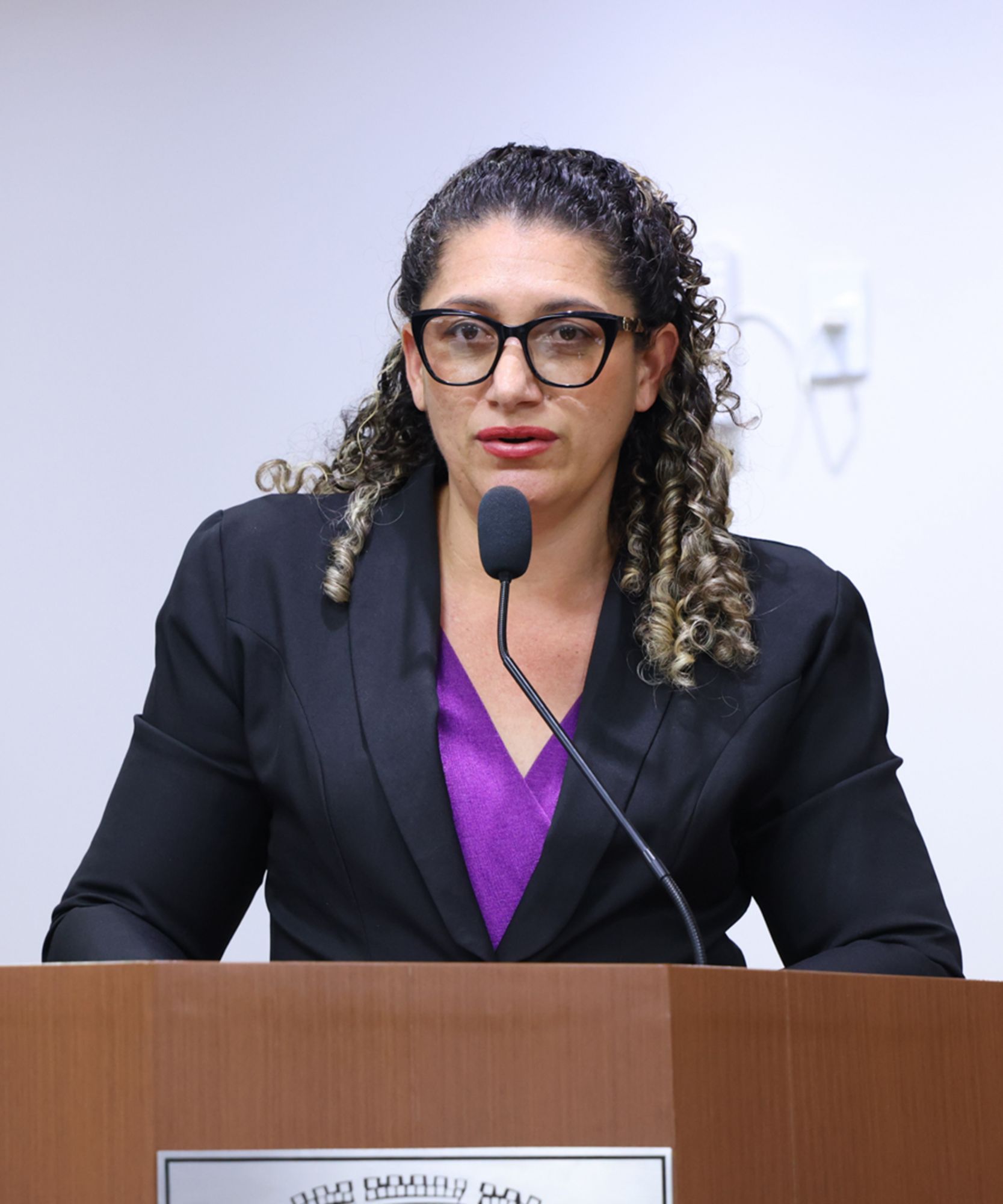 Foto: Reprodução/Câmara de Ibatiba - ES
