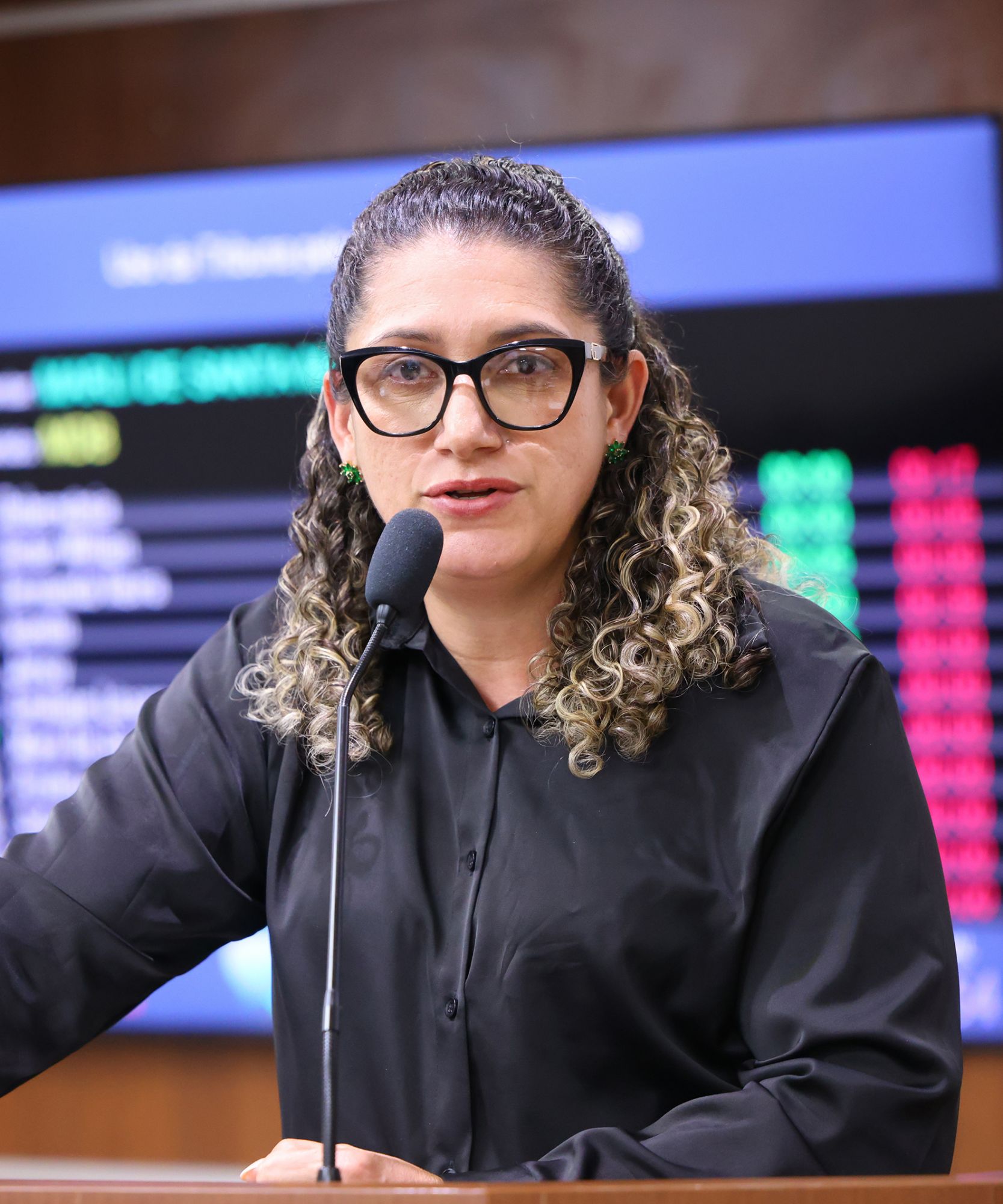 Foto: Reprodução/Câmara de Ibatiba - ES