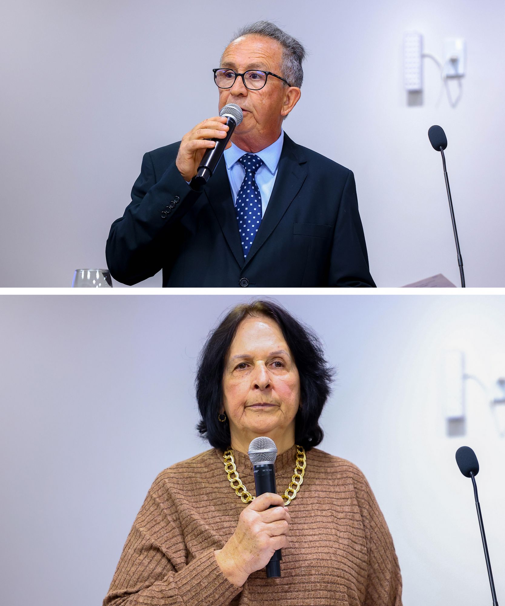 Foto: Reprodução/Câmara de Ibatiba - ES