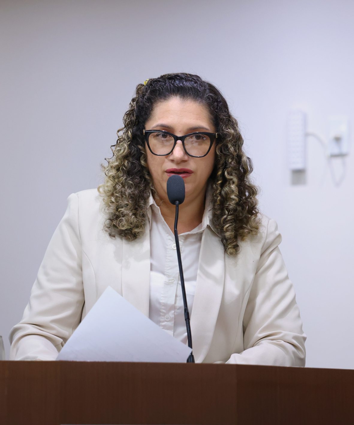 Foto: Reprodução/Câmara de Ibatiba - ES