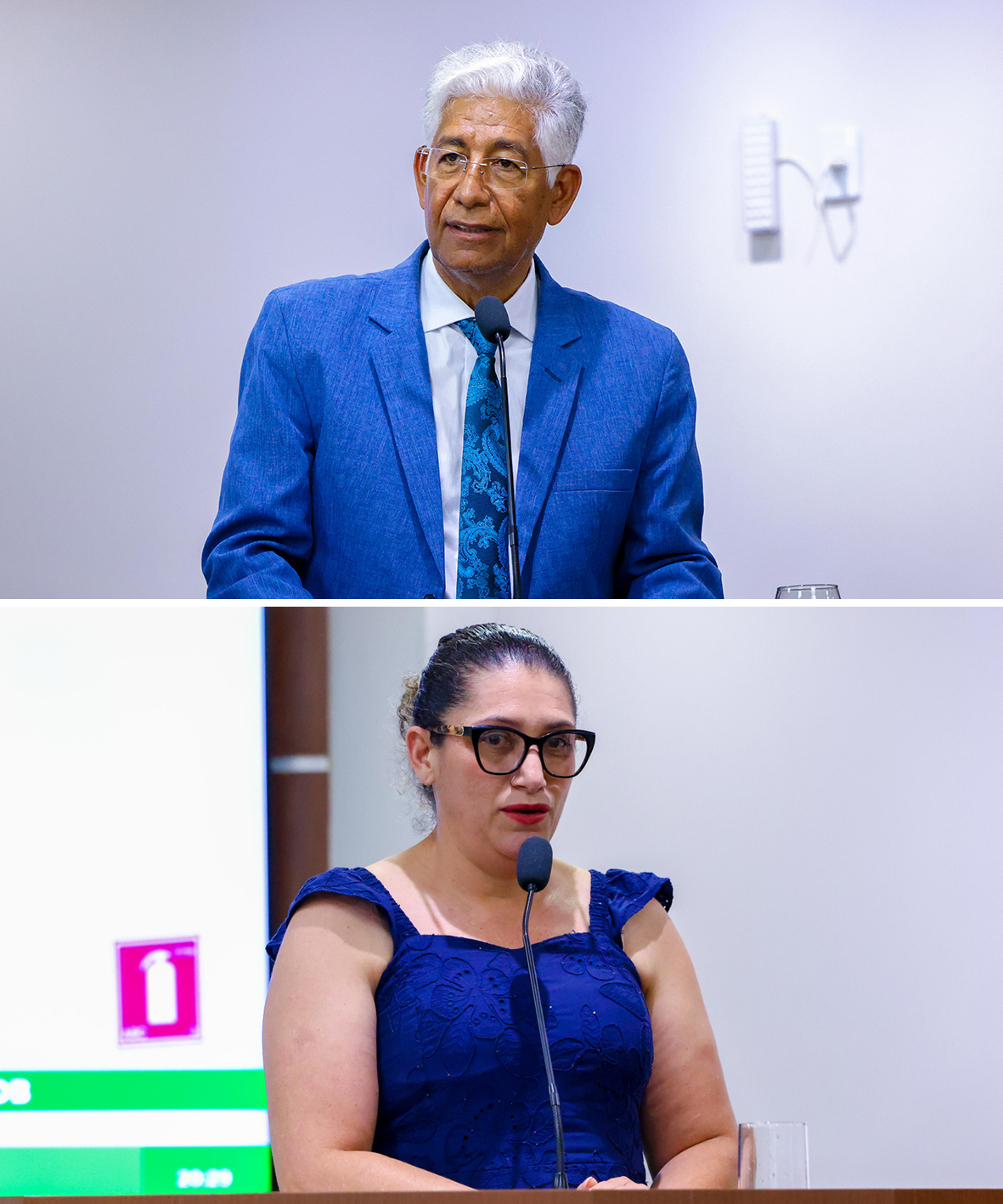 Foto: Reprodução/Câmara de Ibatiba - ES