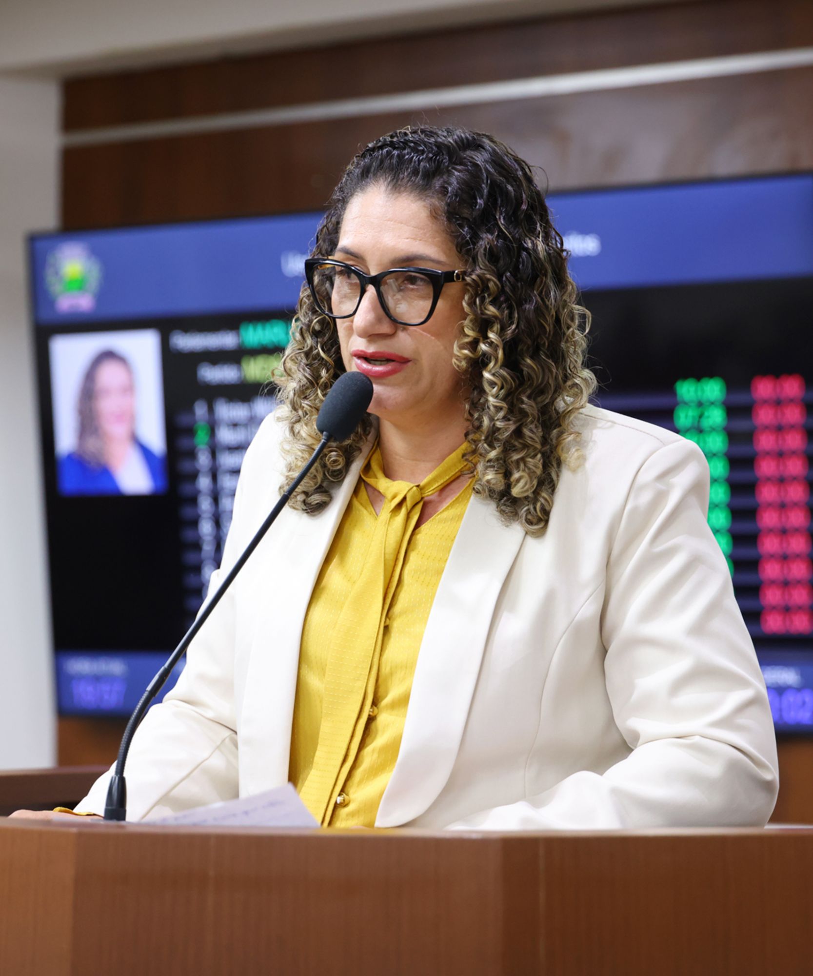 Foto: Reprodução/Câmara de Ibatiba - ES