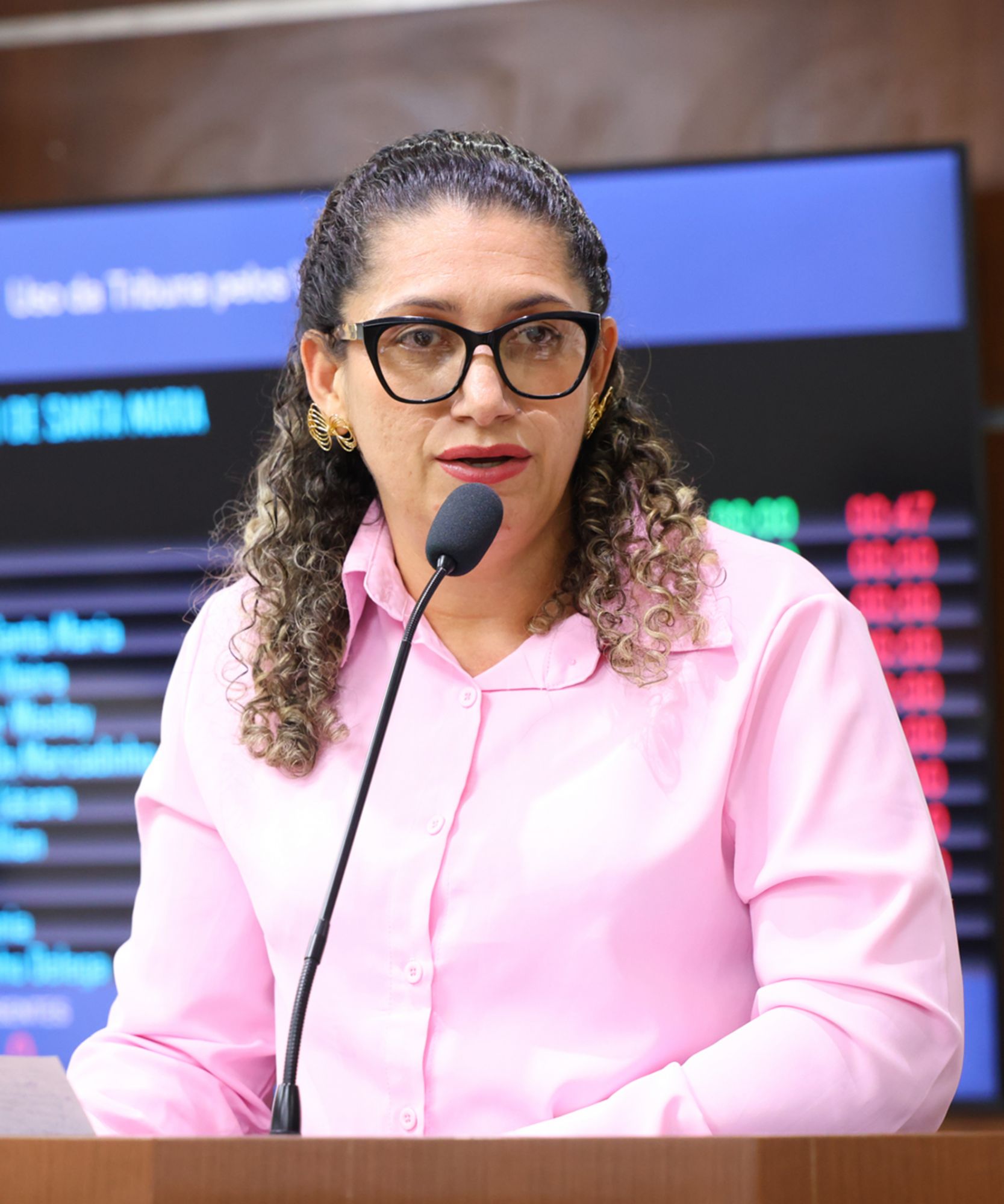 Foto: Reprodução/Câmara de Ibatiba - ES