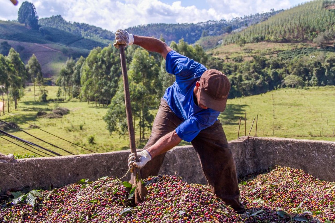 Vereadores comemoram conquistas das associações de produtores Vereadores comemoram conquistas das associações de produtores