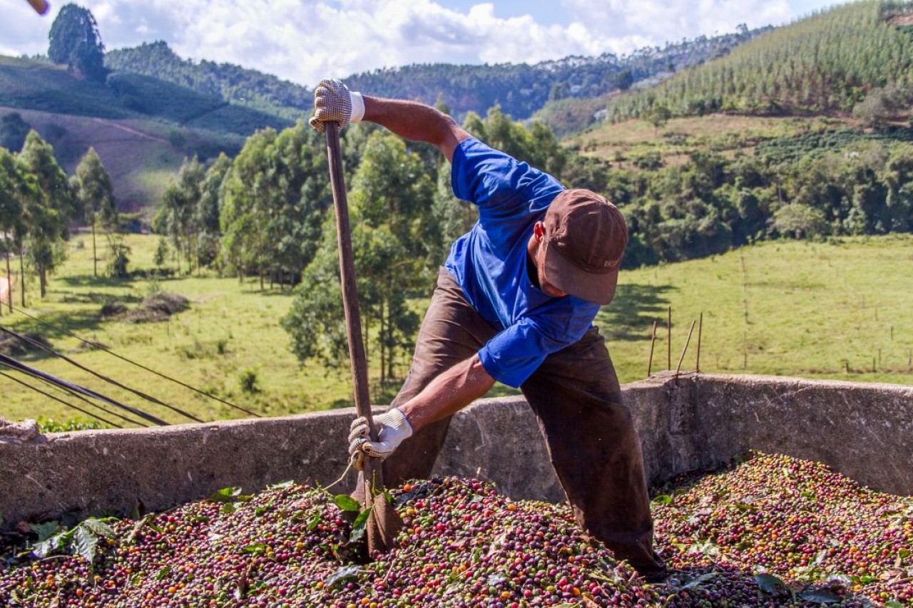 Vereadores comemoram conquistas das associações de produtores rurais