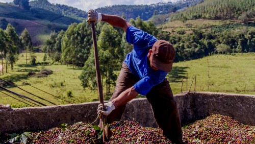 Vereadores comemoram conquistas das associações de produtores rurais Vereadores comemoram conquistas das associações de produtores rurais