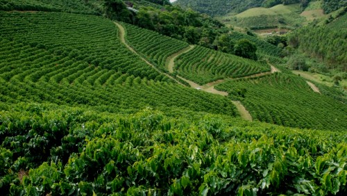 Cadastro Ambiental Rural é prorrogado até maio de 2016 Cadastro Ambiental Rural é prorrogado até maio de 2016