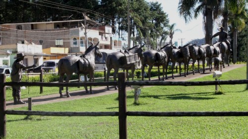 Canteiros centrais da BR 262 em Ibatiba recebem paisagismo Canteiros centrais da BR 262 em Ibatiba recebem paisagismo