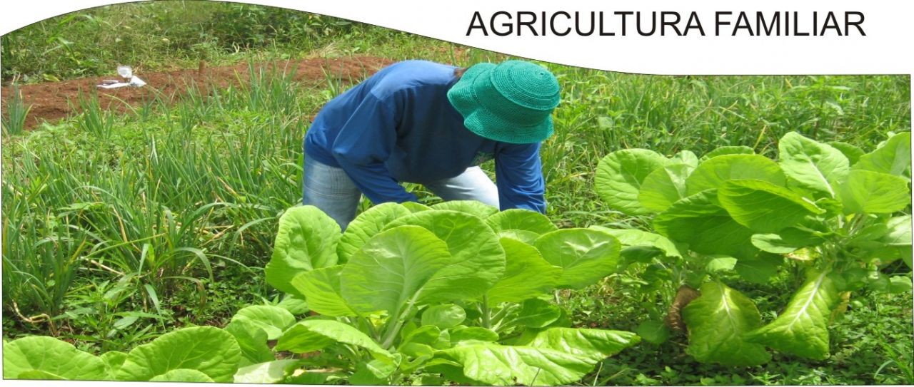 Vereador busca incentivos para agricultura familiar em Ibatiba