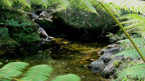 Iniciativa privada poderá recuperar nascentes em Ibatiba Iniciativa privada poderá recuperar nascentes em Ibatiba