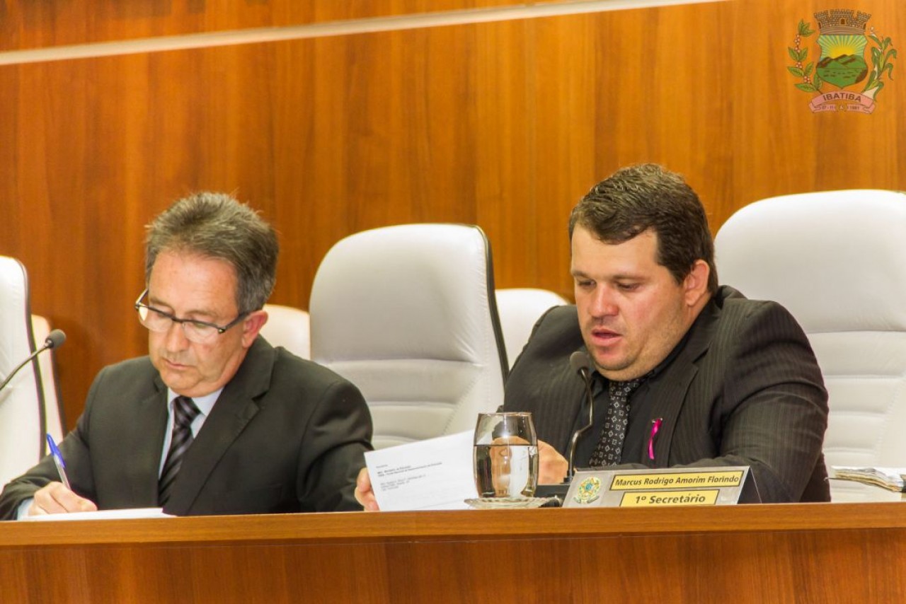 Comissão Especial propõe nova Lei Orgânica do município Comissão Especial propõe nova Lei Orgânica do município