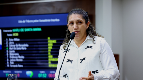 Discurso da ver. Marli Tiengo do Carmo Faria (MDB) | 4ª Sessão Ordinária de 2026 Discurso da ver. Marli Tiengo do Carmo Faria (MDB) | 4ª Sessão Ordinária de 2026