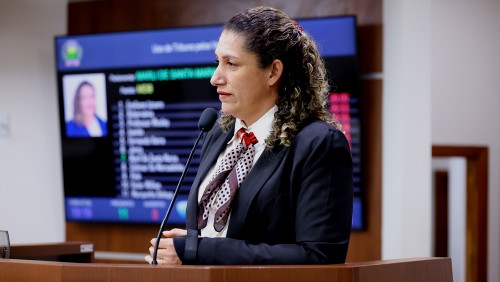 Discurso da ver. Marli Tiengo do Carmo Faria (MDB) | 7ª Sessão Ordinária de 2026 Discurso da ver. Marli Tiengo do Carmo Faria (MDB) | 7ª Sessão Ordinária de 2026